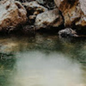 Meet your Posher, Raphael